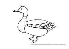 Ente-2.pdf